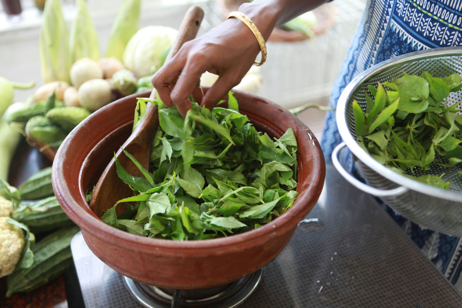 Ayurvedic Consultation example photo